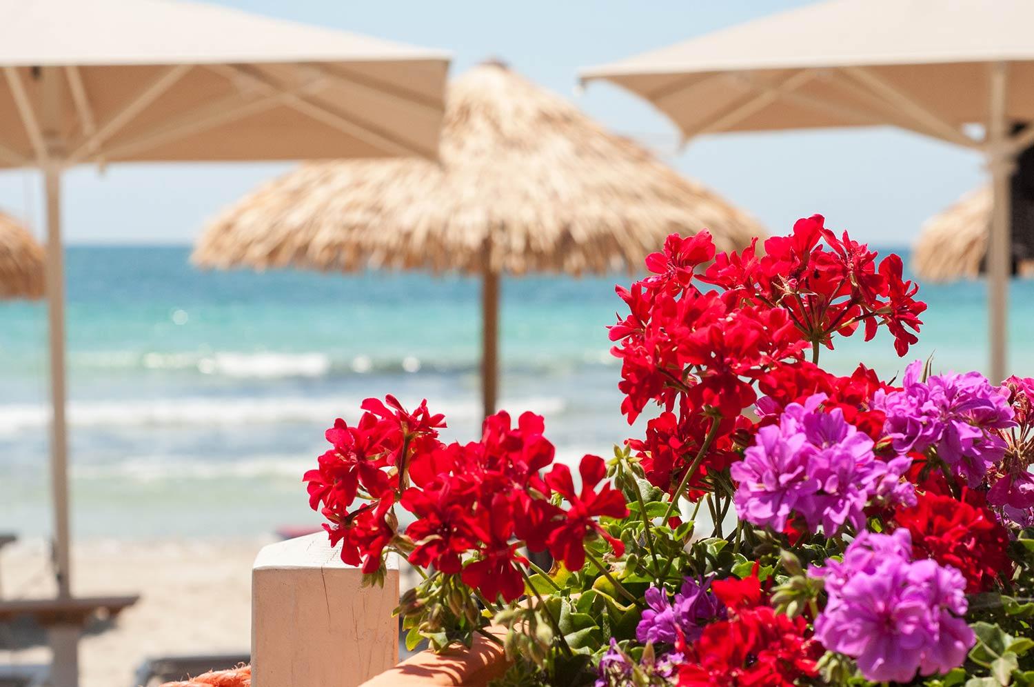 Conchiglia Azzurra Resort & Beach Porto Cesareo Eksteriør billede